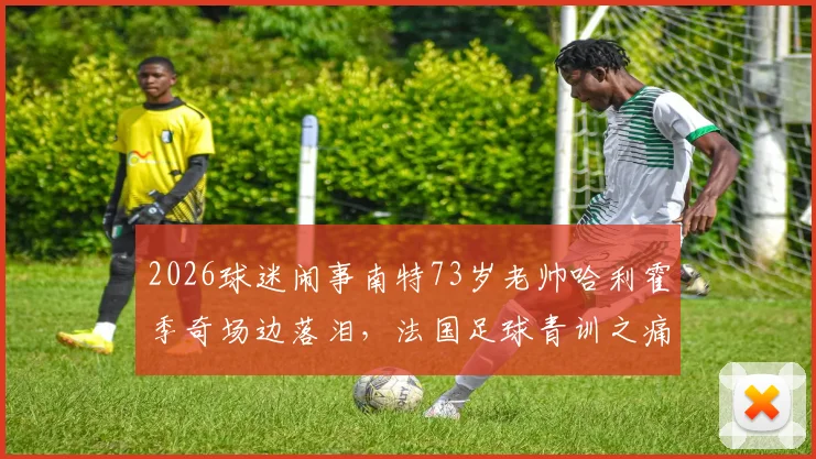 2026球迷闹事南特73岁老帅哈利霍季奇场边落泪,法国足球青训之痛与选机构避坑指南